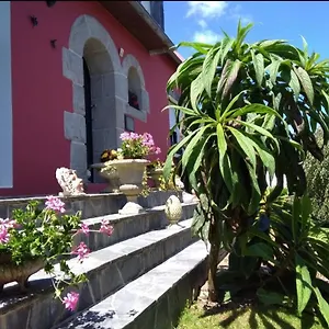 Les Hortensias , Plouvien France